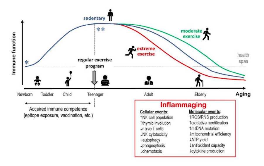 La relación entre el ejercicio físico y la inmunidad ante el COVID-19